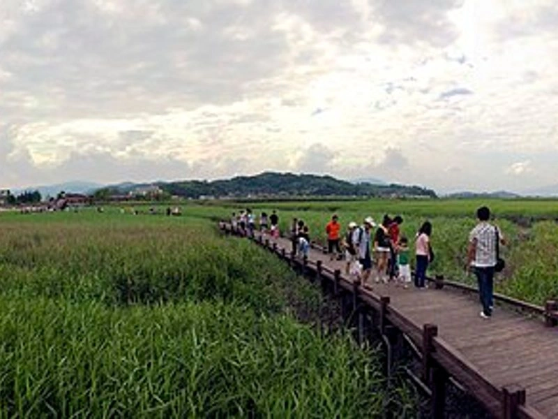 전남