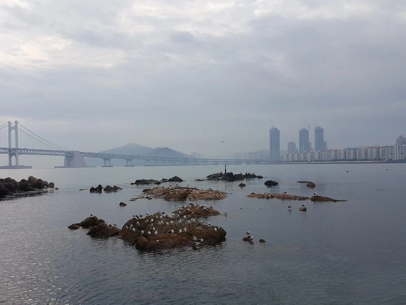 부산