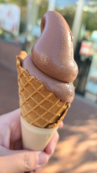 후쿠오카 오호리공원 소프트콘
