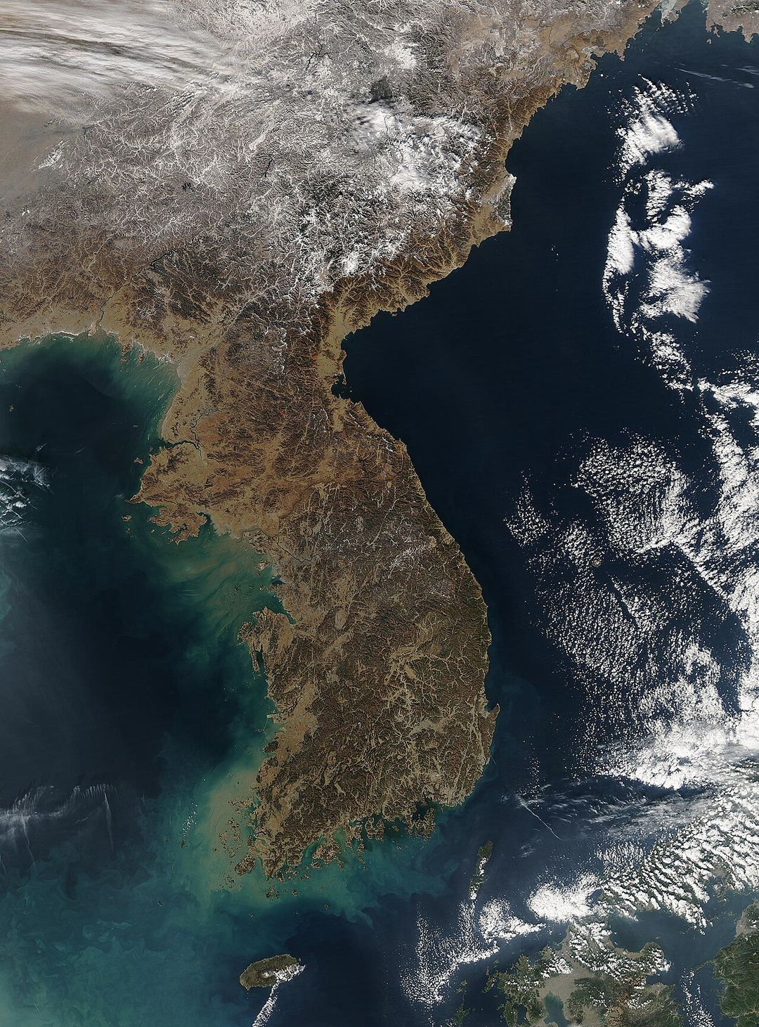 무등산 입구 보리밥