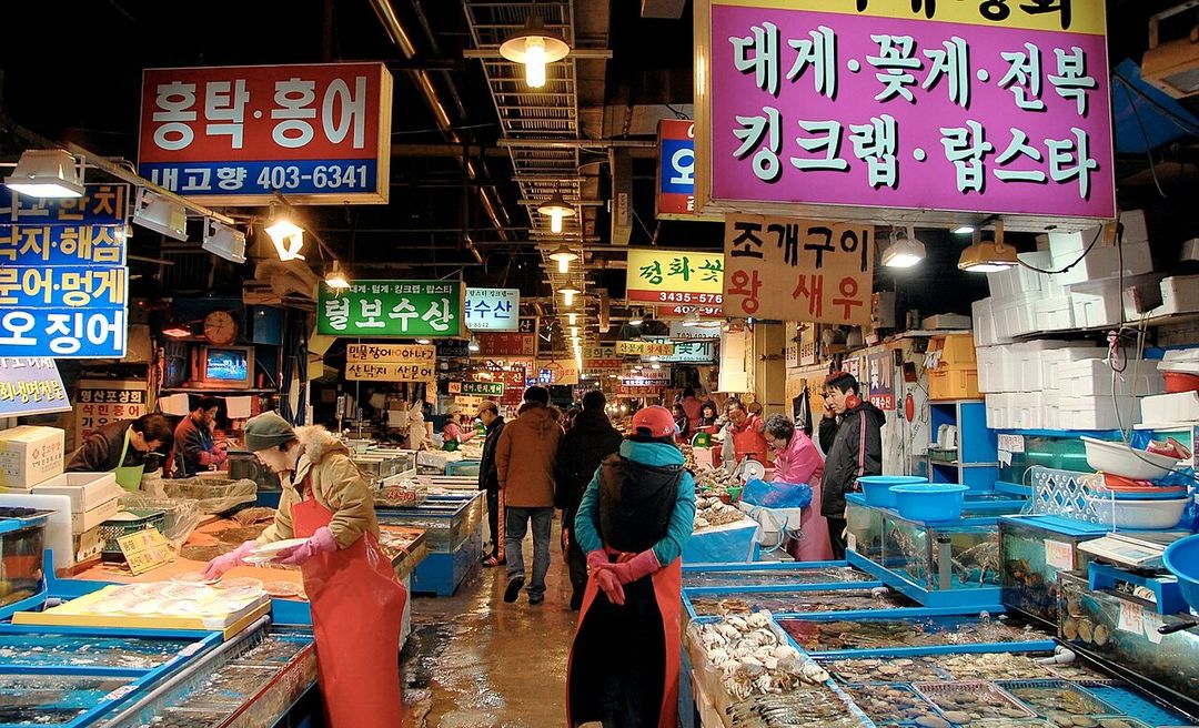 방어진항 회센터