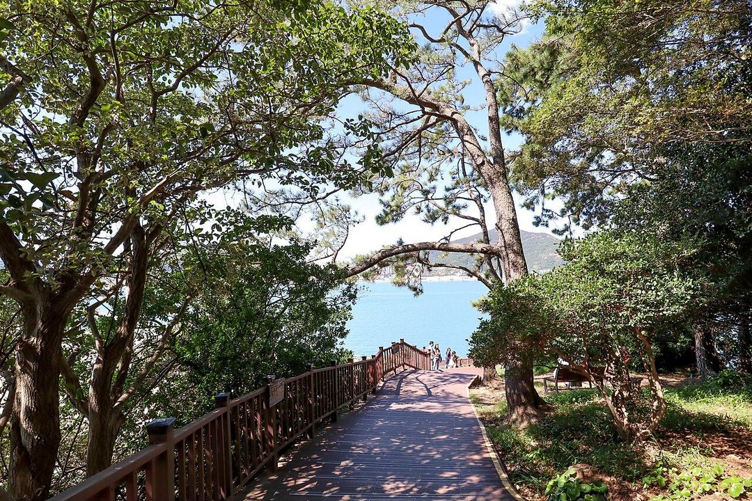 오동도 동백 산책