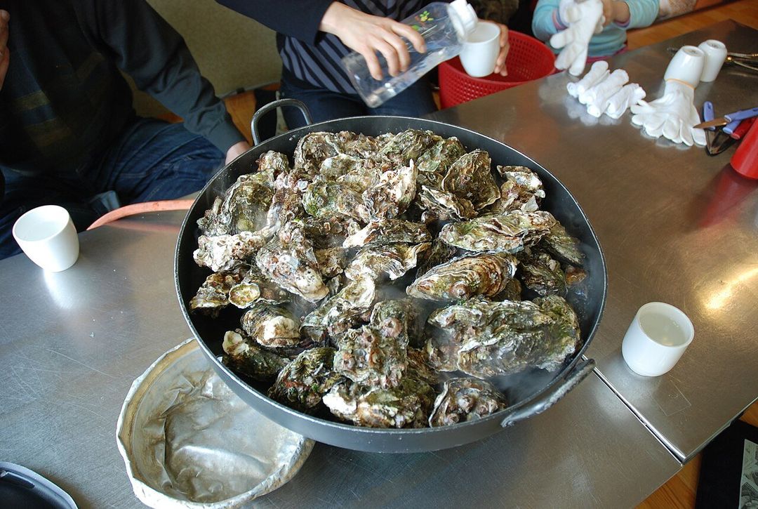 통영 굴 요리 점심