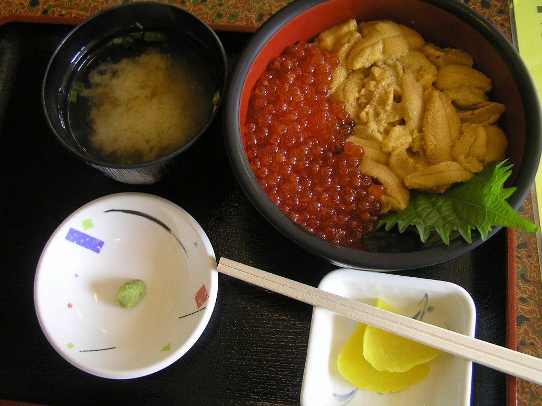 니조시장 우니이쿠라동