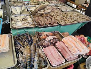 디탈리파파 시장에서 해산물 사서 바로 조리 맛집