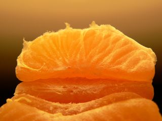 마쓰야마 여행 필수 음식 가이드 | 현지인이 사랑하는 맛 5가지