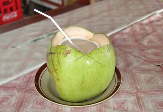 시아르가오 맛집 거리 & 시장 총정리 | 어디서 먹을까
