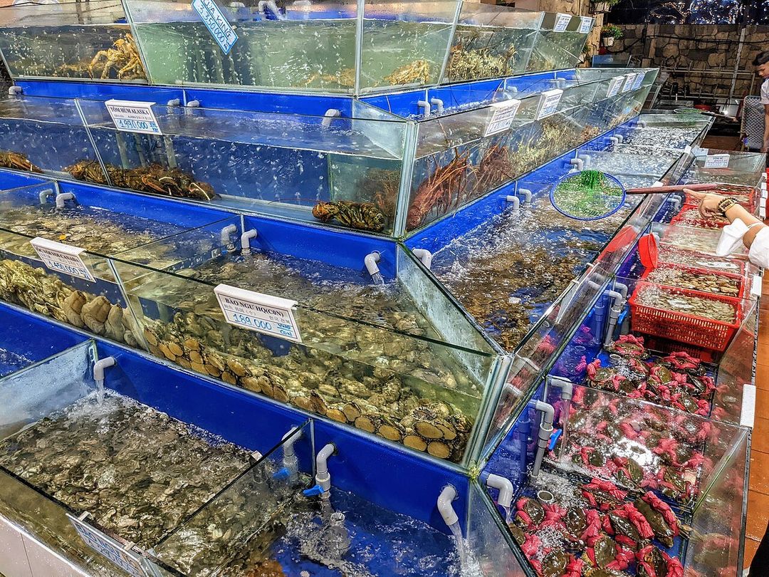치진 해산물거리 (Cijin Seafood Street)