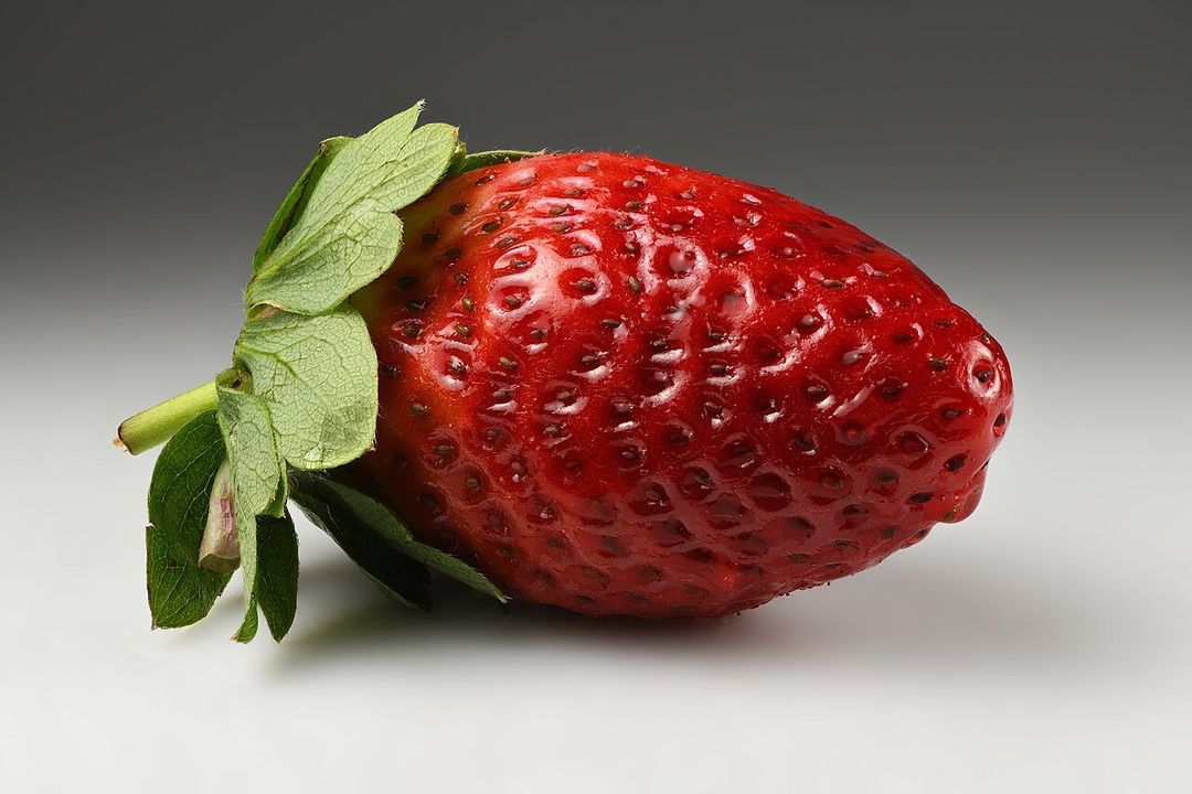 겐팅 딸기농장 카페 (Genting Strawberry Leisure Farm)