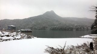 Pocheon nearby restaurants