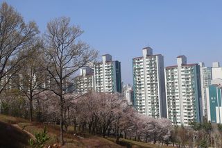 군포 맛집 정보 — 산본 중심상가, 수리산 입구 보리밥, 대야미 저수지 오리요리 — 군포 근처 맛집