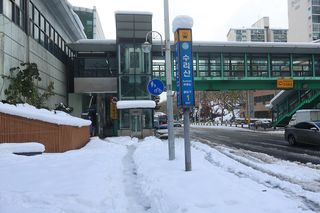 Surisan nearby restaurants