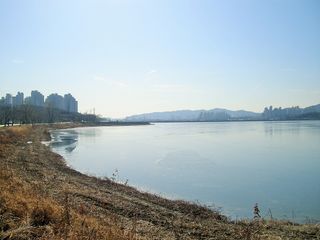 Wangsong Lake nearby restaurants