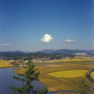Suncheonman Bay Wetland nearby restaurants