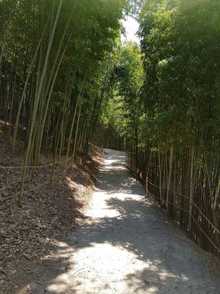 Juknokwon Bamboo Garden nearby restaurants