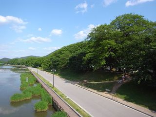 Damyang Noodle Street nearby restaurants