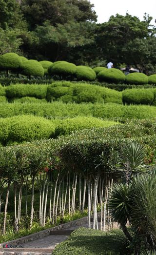 Oedo Botania nearby restaurants