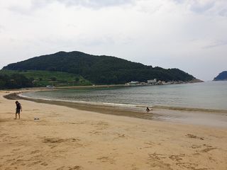 상주은모래비치 근처 맛집