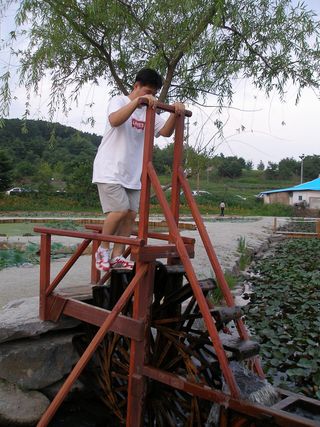 Buyeo nearby restaurants