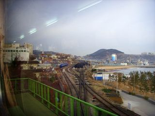 묵호항·논골담길 근처 맛집