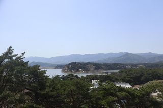 화진포 근처 맛집
