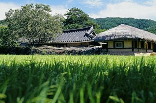 Oeam Folk Village nearby restaurants