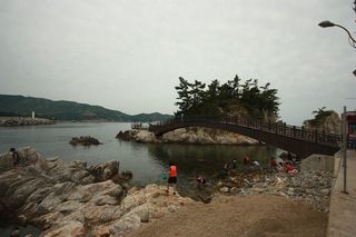 삼척 맛집 정보 — 장호항 회와 물회, 곰치국과 삼척 곤드레밥, 죽서루 앞 한식 — 추암 촛대바위 근처 맛집