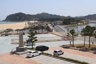 고성 맛집 정보 — 아야진 물회와 도루묵, 화진포 근처 막국수, 거진항 명태 요리 — 고성 근처 맛집