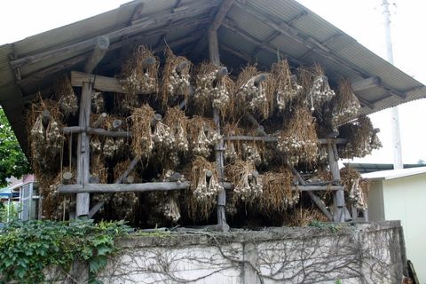 Uiseong Public Traditional Market