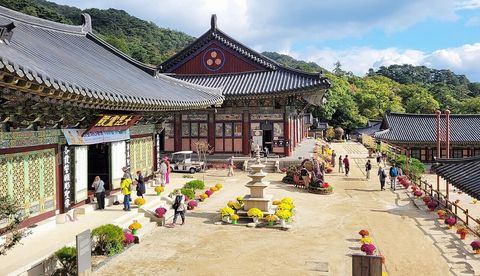 Hapcheon Haeinsa Temple Food Street