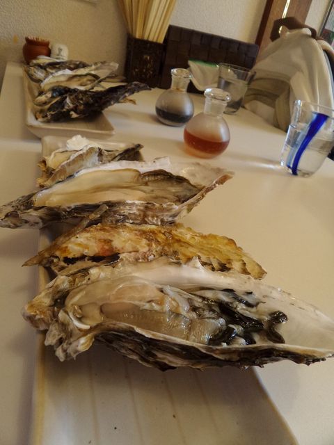 Oysters