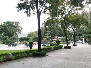 카피톨 커먼스
