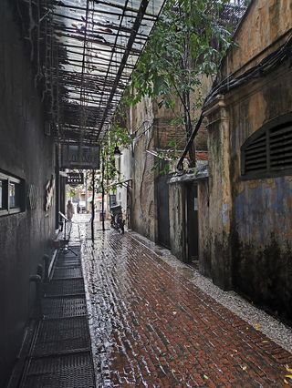콘큐바인 레인