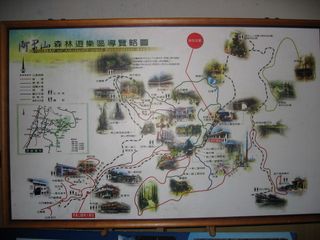 아리산 국가삼림유락구