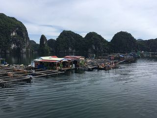 란하베이