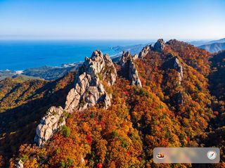Gangwon