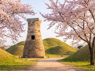 North Gyeongsang
