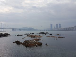 부산