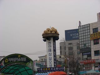 충남