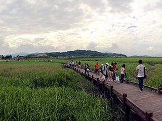 전남