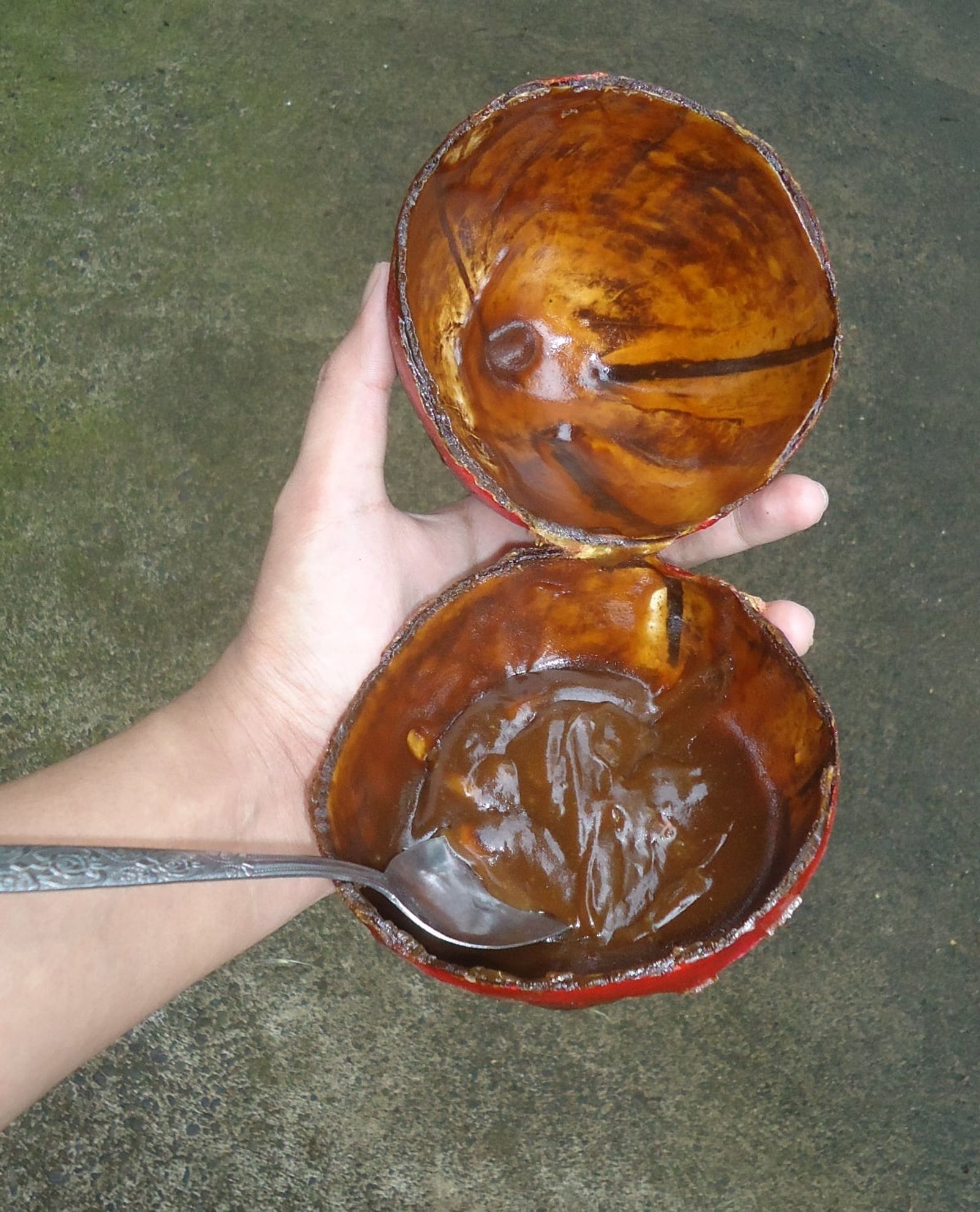An opened Bohol calamay · Photo: Obsidian Soul / CC BY-SA 3.0 (Wikimedia Commons)