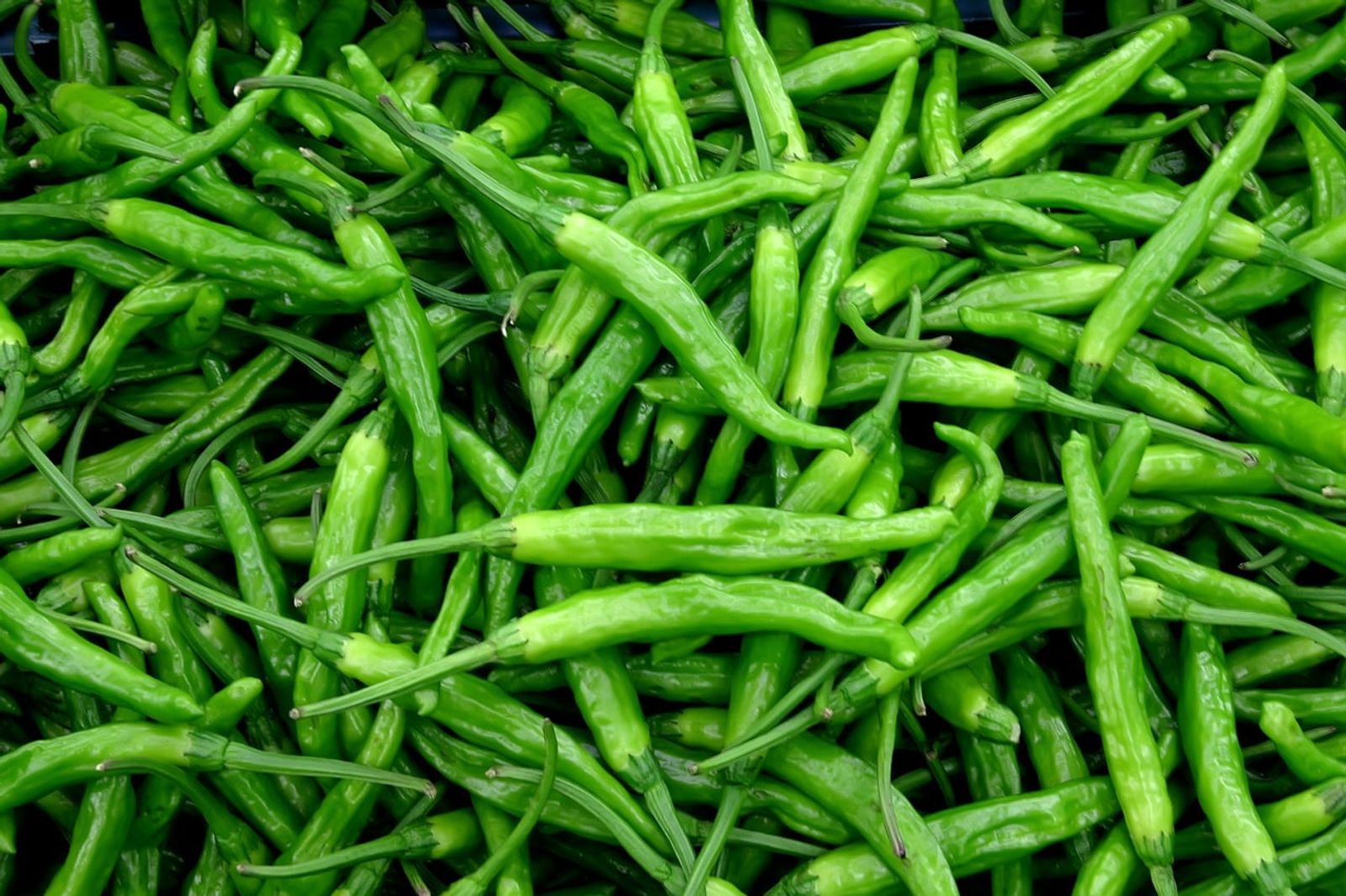 Cheongyang chilies · Photo: Y-h Kim / CC0 (Wikimedia Commons)