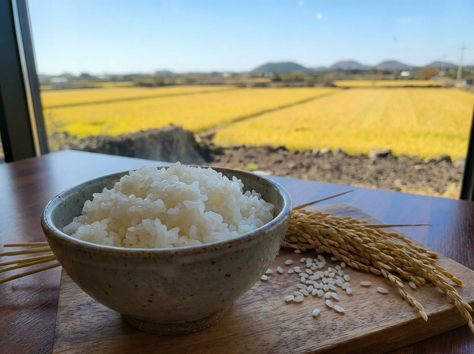 Cheorwon Odae Rice