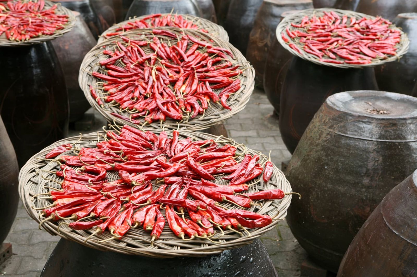 Chili peppers drying on bamboo trays over earthenware jars · Photo: ASADAL, Inc. / CC BY 2.0 kr (Wikimedia Commons)