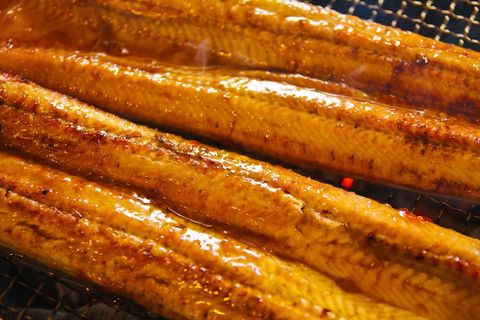 Gochang Pungcheon Eel