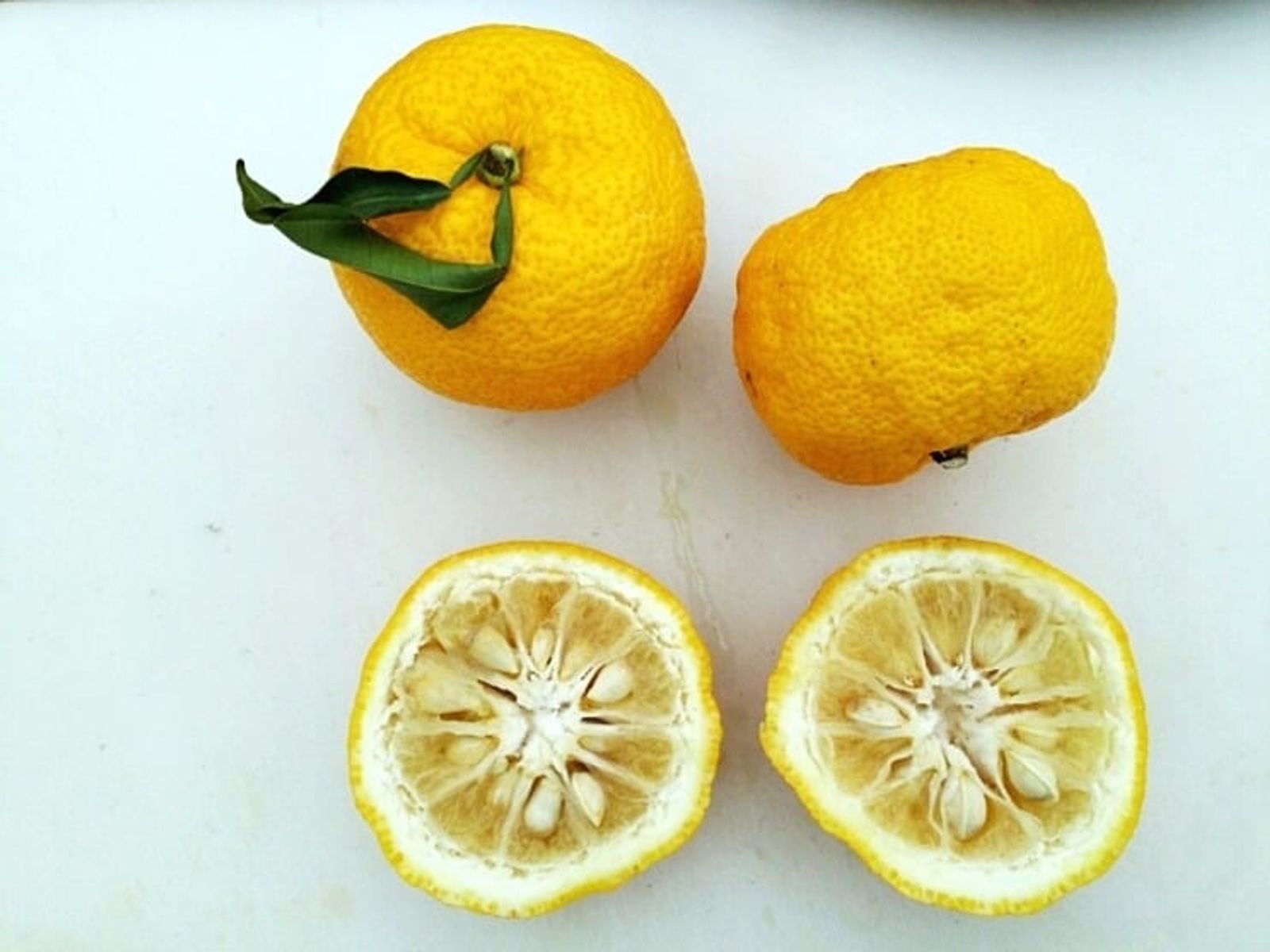 Yuja fruits with their bumpy peel, whole and halved · Photo: 경빈마마 / CC BY 4.0 (Wikimedia Commons)