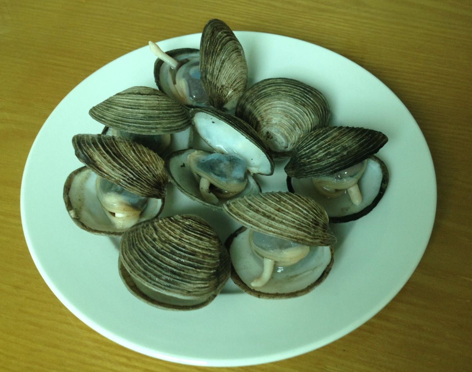 Cooked ngán clams, Hạ Long Bay · Photo: Hoangkid / CC BY-SA 4.0 (Wikimedia Commons)