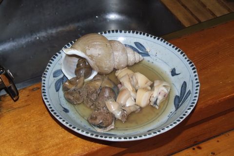 Kanazawa Oden