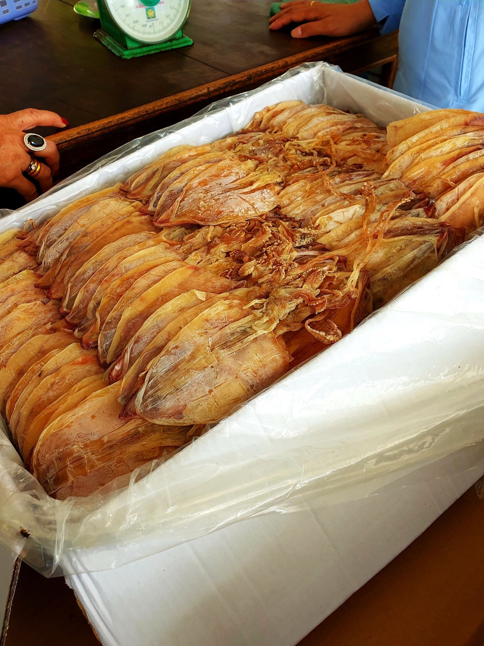 Mực một nắng for sale in Phan Thiết · Photo: Phương Huy / CC0 (Wikimedia Commons)