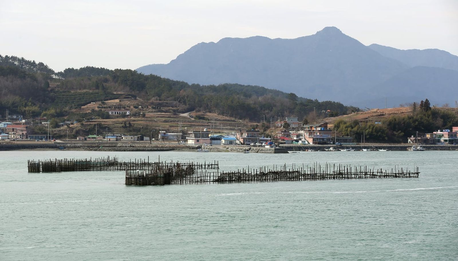 Bamboo anchovy weirs in Jijok Strait · Photo: Republic of Korea (Korea.net) / CC BY-SA 2.0 (Wikimedia Commons)